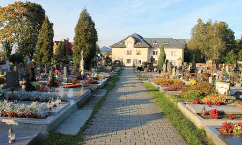 Ewa Zarychta - Pěšinka na hřbitově v centru města
