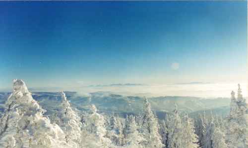Jiří Jurzykowski - Krásný zimní pohled na hory a zasněžené stromy